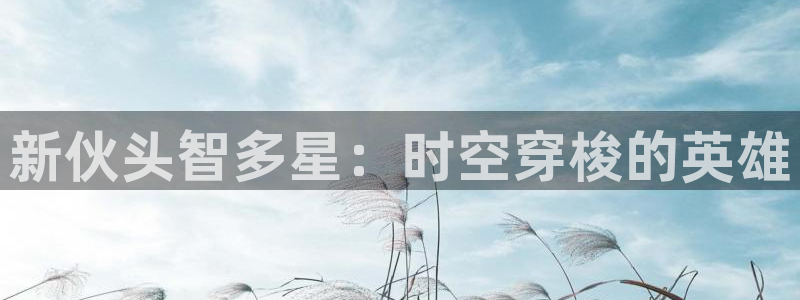 omofun动漫官方下载：新伙头智多星：时空穿梭的英雄